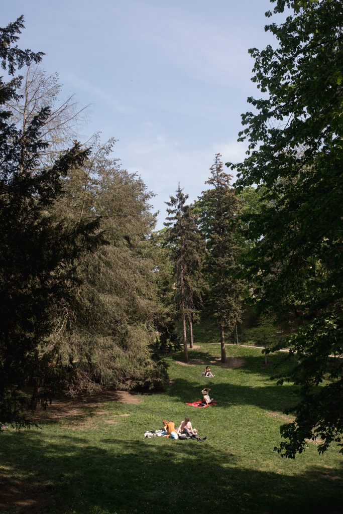 Various people sit with blankets on a hill on a spring day surrounded by trees